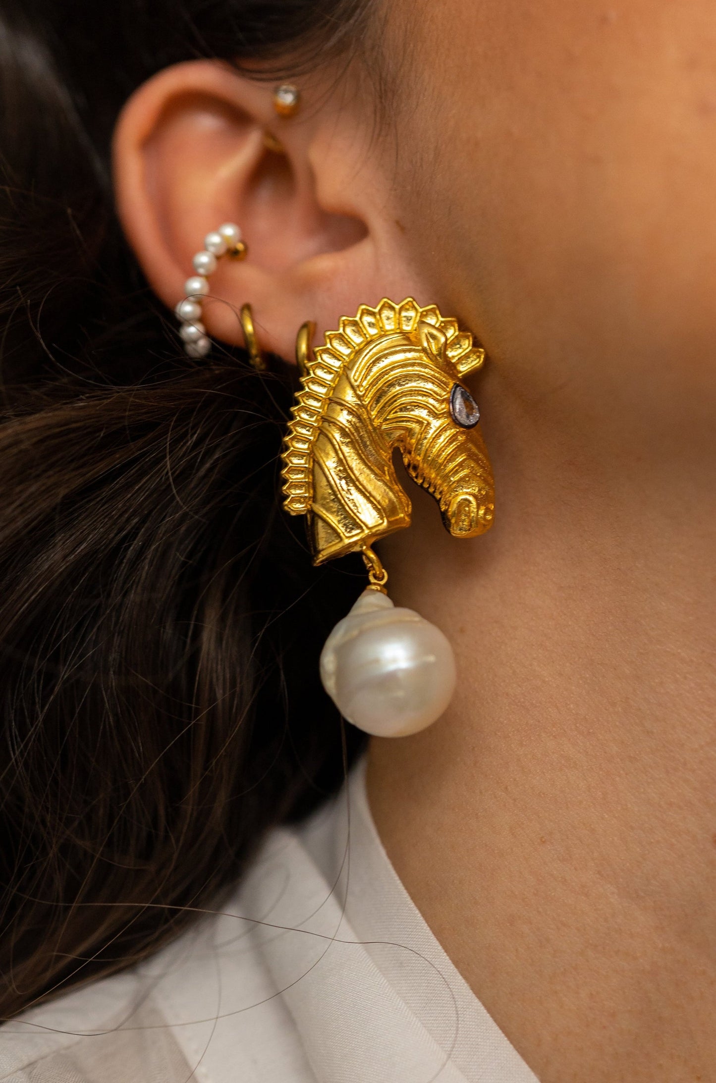 Zebra Earrings