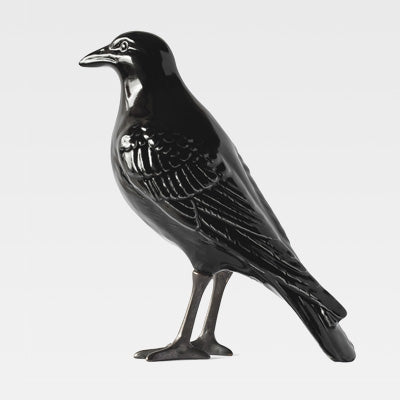 “The Naughty Crow”