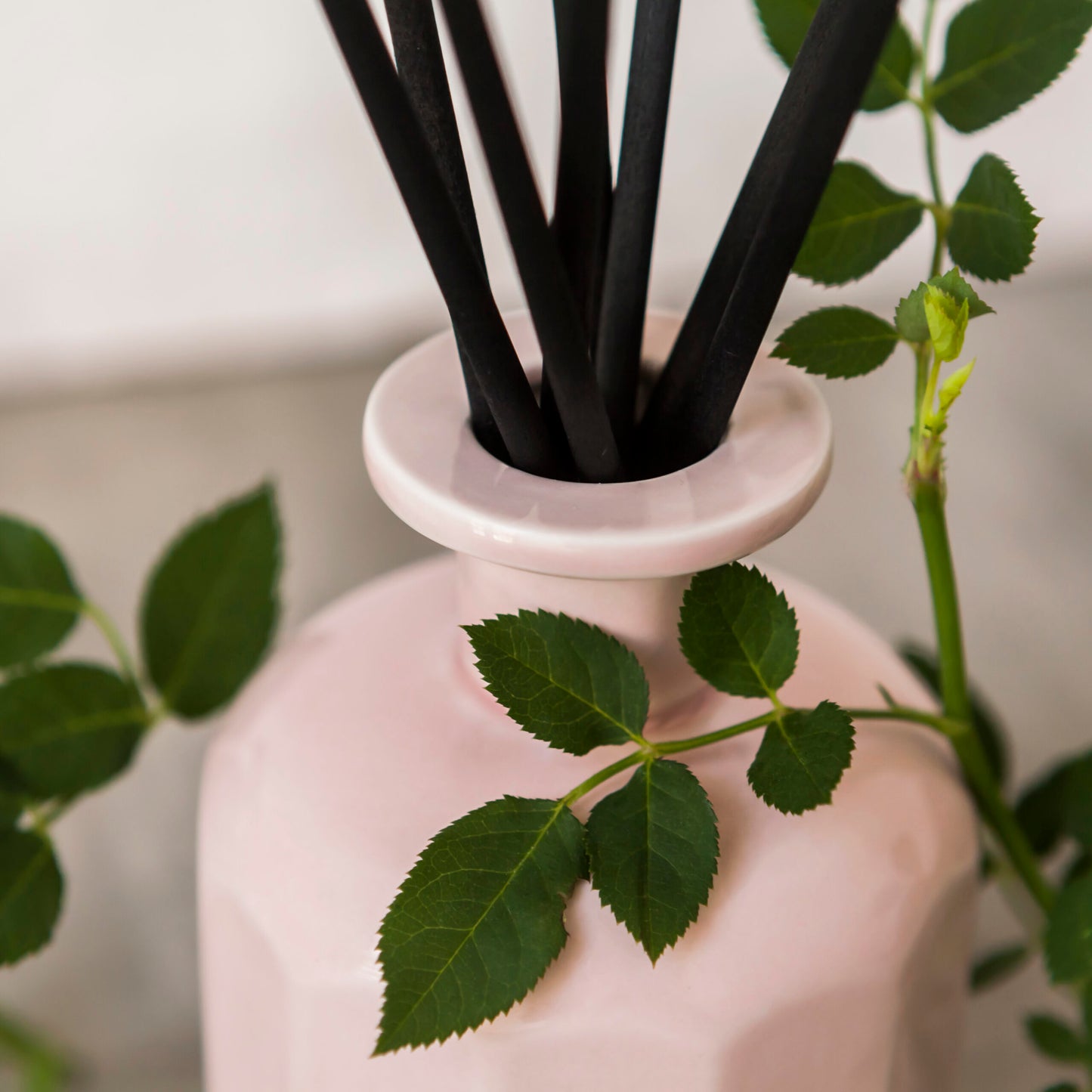 Rosé Blush 250ml Diffuser