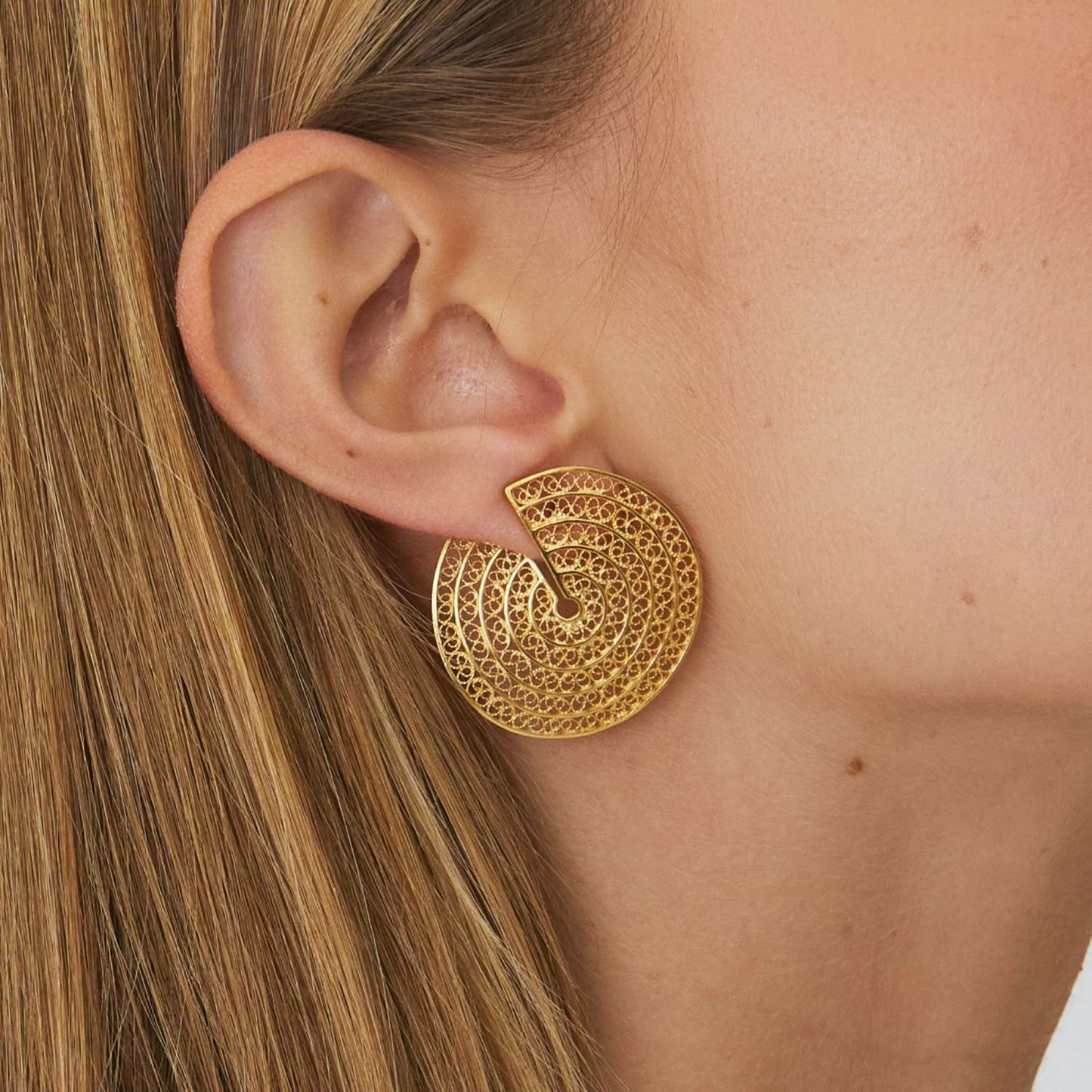 Cut Circles Earrings
