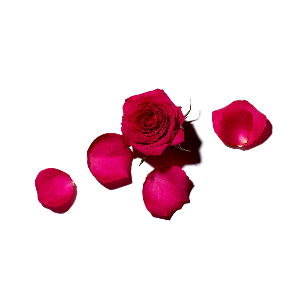 Rose Amélie Shower Gel 500ml