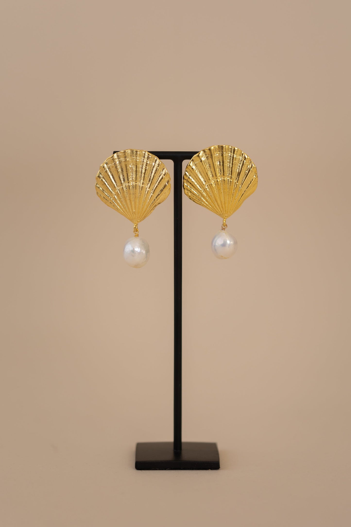 Shell Earrings