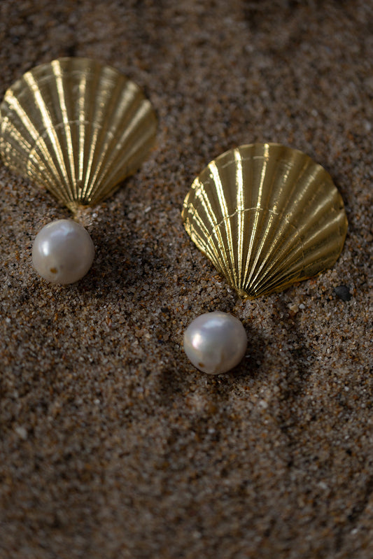 Shell Earrings