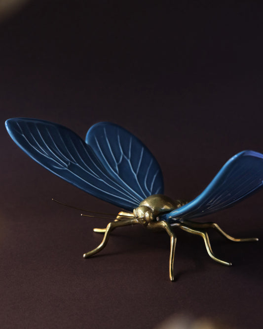 “Hope in the Life of Butterflies”