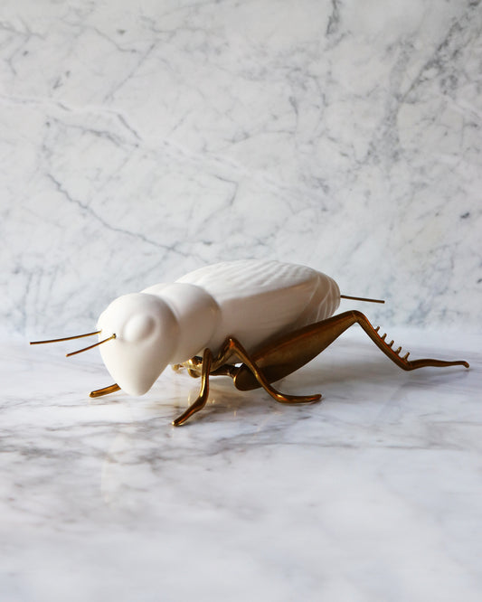 “The Singing Cricket”