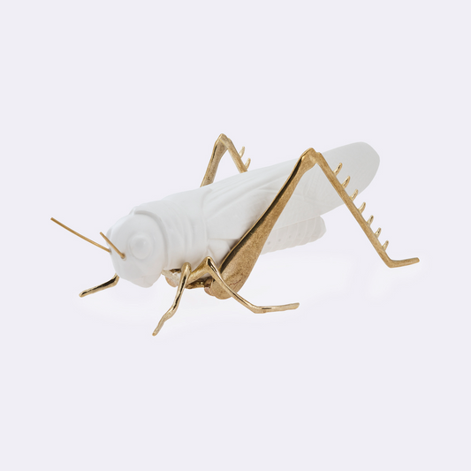 “The Stillness of the Grasshopper”