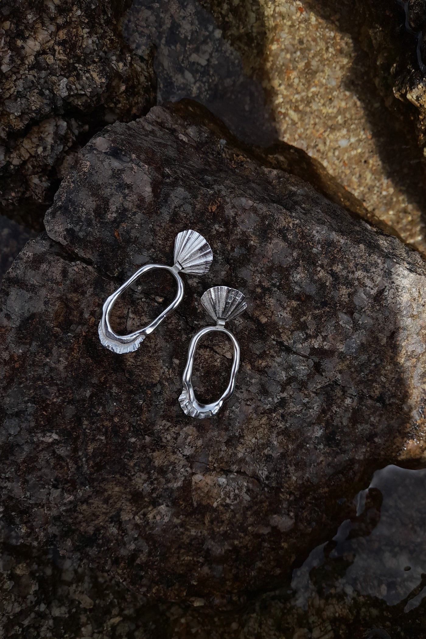 Odara Big Shell Earrings